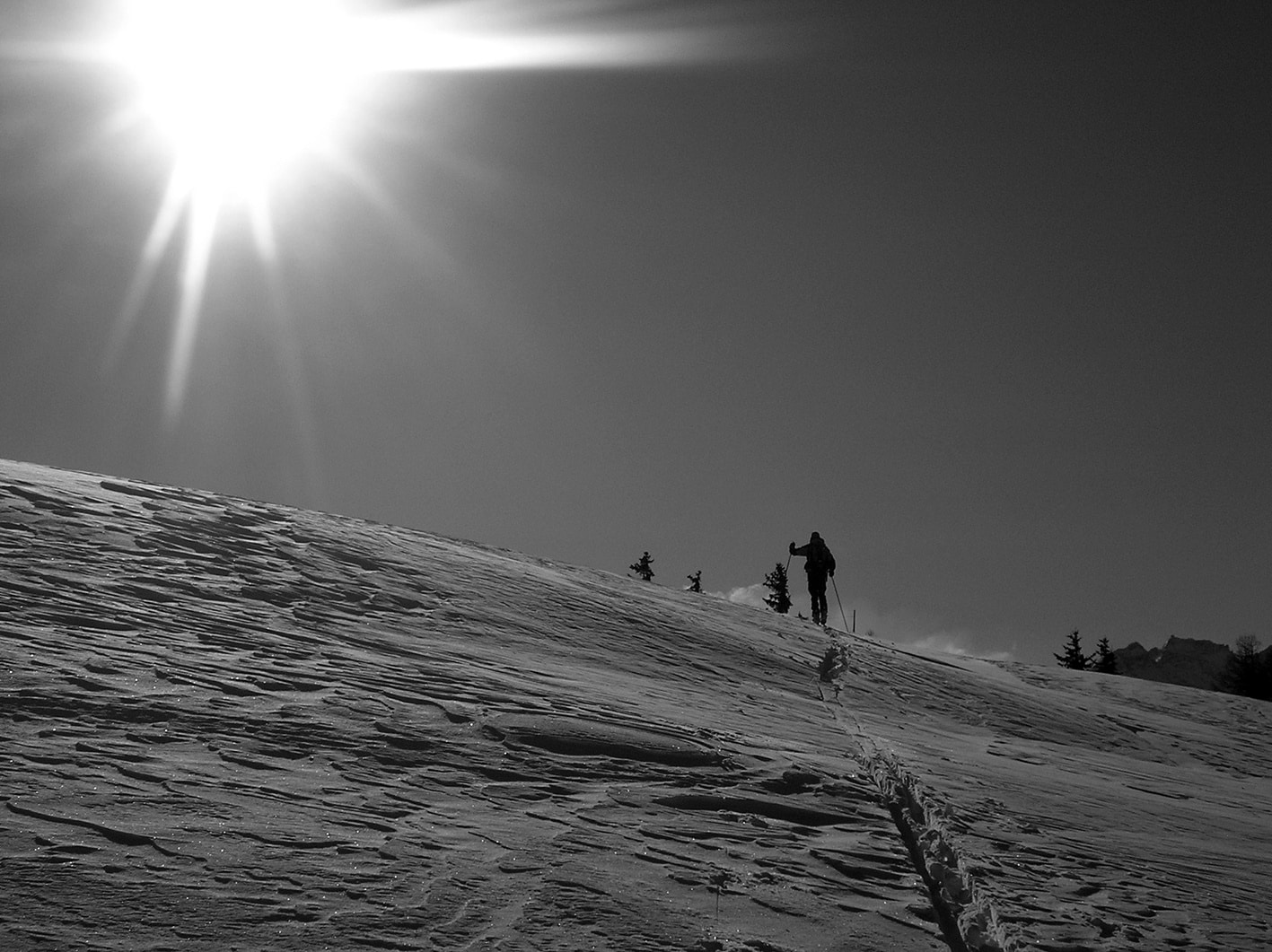 scialpinismo-solitario-prudenza-montagna-inverno Fotografia in bianco e nero di una silhouette solitaria che sale con gli sci da scialpinismo su una distesa di neve verso una spalla.